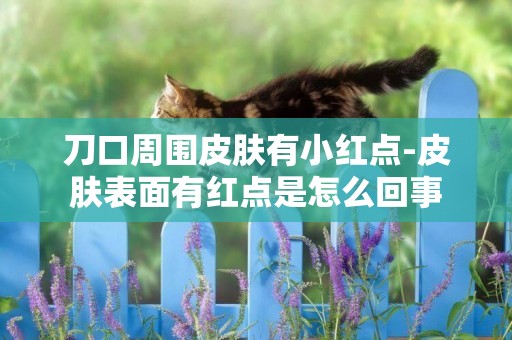刀口周圍皮膚有小紅點-皮膚表面有紅點是怎么回事