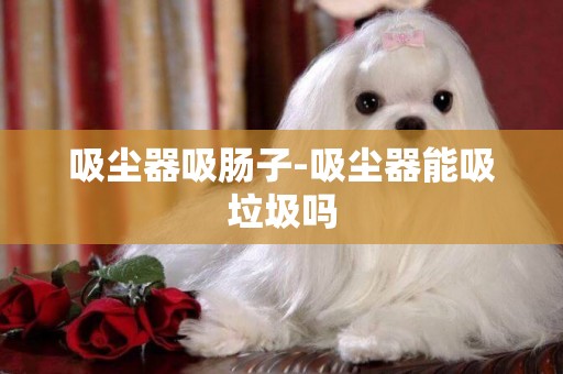吸塵器吸腸子-吸塵器能吸垃圾嗎