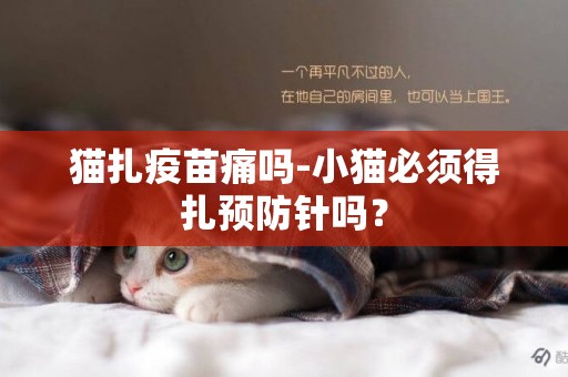 貓扎疫苗痛嗎-小貓必須得扎預防針嗎？
