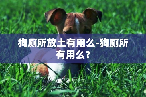 狗廁所放土有用么-狗廁所有用么？
