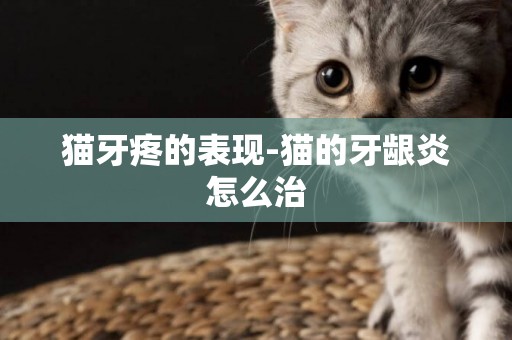 貓牙疼的表現-貓的牙齦炎怎么治