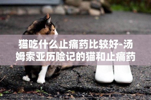 貓吃什么止痛藥比較好-湯姆索亞歷險記的貓和止痛藥的主要內容是什么