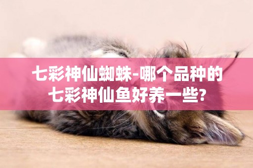 七彩神仙蜘蛛-哪個品種的七彩神仙魚好養一些?