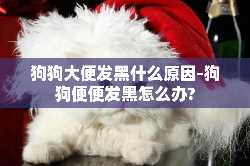 狗狗大便發黑什么原因-狗狗便便發黑怎么辦?