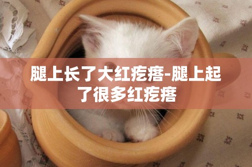 腿上長了大紅疙瘩-腿上起了很多紅疙瘩