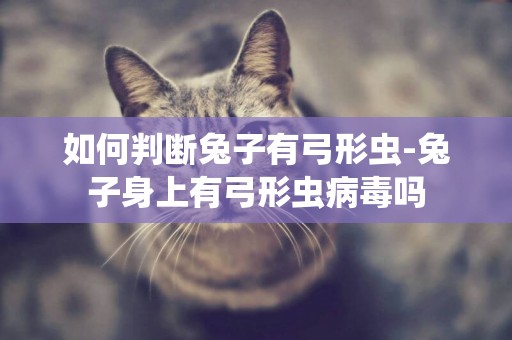 如何判斷兔子有弓形蟲-兔子身上有弓形蟲病毒嗎