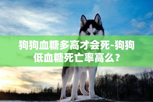 狗狗血糖多高才會死-狗狗低血糖死亡率高么？