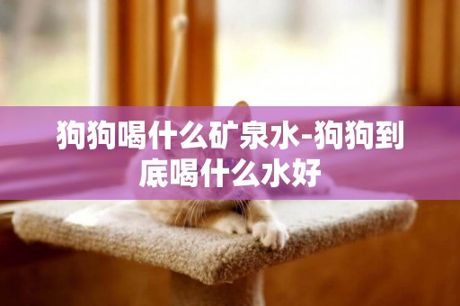 狗狗喝什么礦泉水-狗狗到底喝什么水好