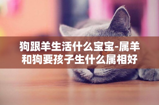 狗跟羊生活什么寶寶-屬羊和狗要孩子生什么屬相好