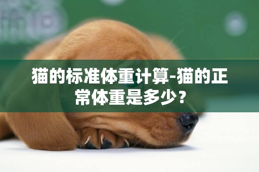 貓的標準體重計算-貓的正常體重是多少？