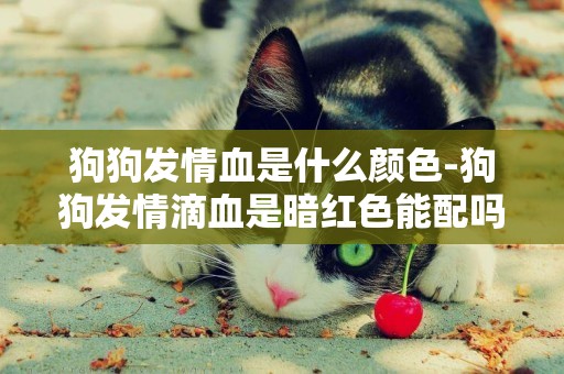 狗狗發情血是什么顏色-狗狗發情滴血是暗紅色能配嗎