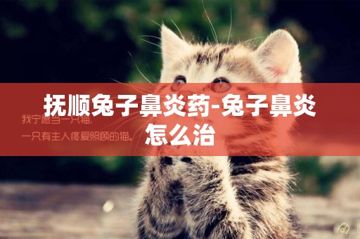 撫順兔子鼻炎藥-兔子鼻炎怎么治