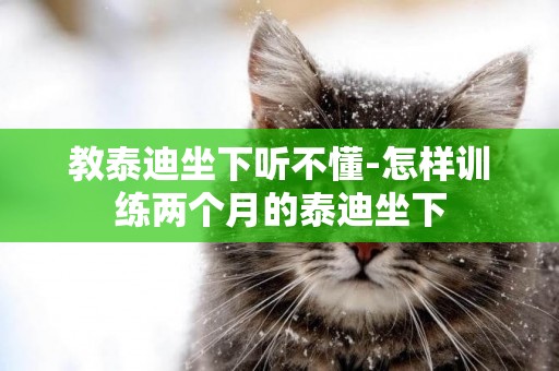 教泰迪坐下聽不懂-怎樣訓練兩個月的泰迪坐下