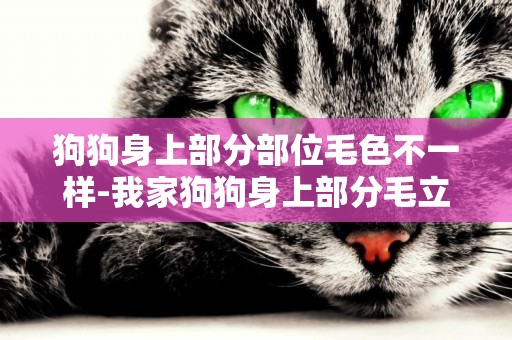 狗狗身上部分部位毛色不一樣-我家狗狗身上部分毛立著