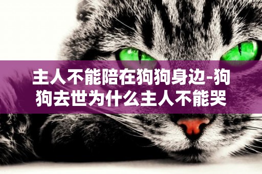主人不能陪在狗狗身邊-狗狗去世為什么主人不能哭