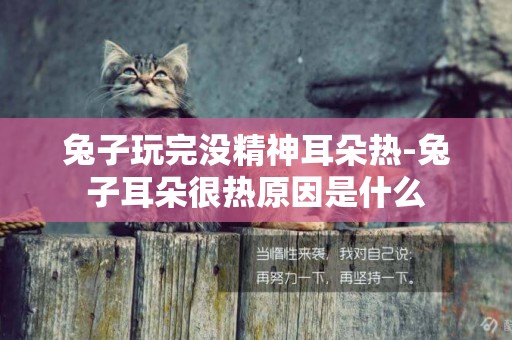 兔子玩完沒精神耳朵熱-兔子耳朵很熱原因是什么