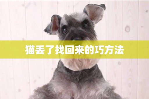 貓丟了找回來的巧方法