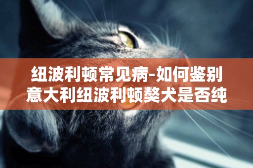 紐波利頓常見病-如何鑒別意大利紐波利頓獒犬是否純種？