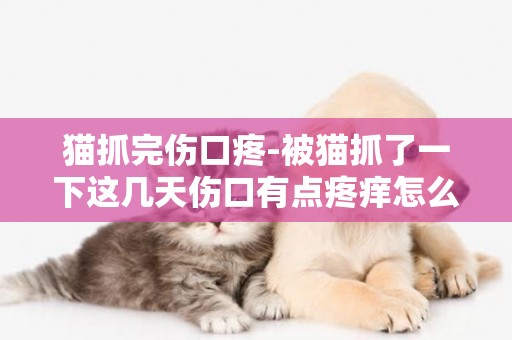 貓抓完傷口疼-被貓抓了一下這幾天傷口有點疼癢怎么回事