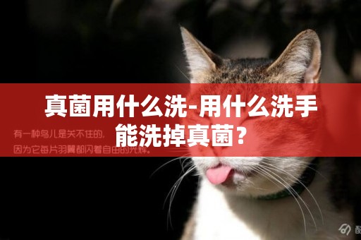 真菌用什么洗-用什么洗手能洗掉真菌？
