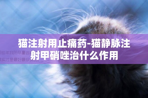 貓注射用止痛藥-貓靜脈注射甲硝唑治什么作用