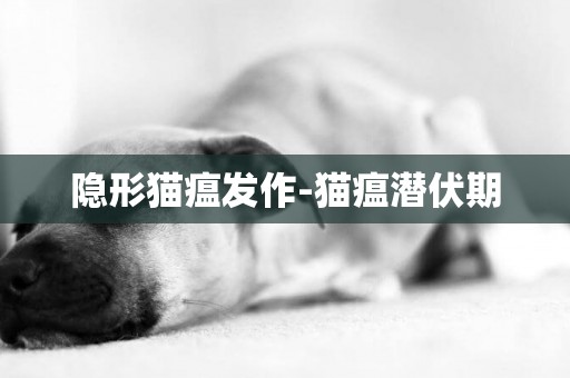 隱形貓瘟發作-貓瘟潛伏期