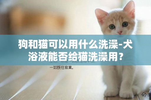 狗和貓可以用什么洗澡-犬浴液能否給貓洗澡用？