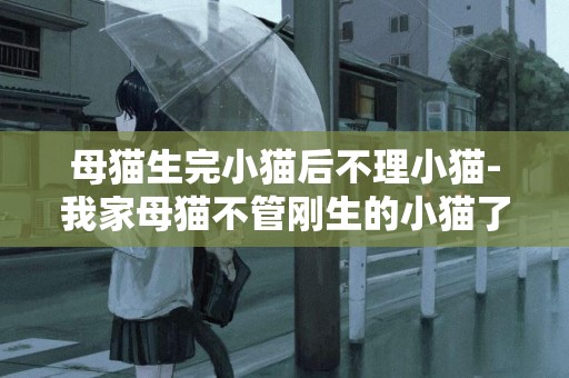 母貓生完小貓后不理小貓-我家母貓不管剛生的小貓了