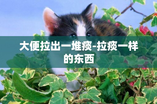 大便拉出一堆痰-拉痰一樣的東西