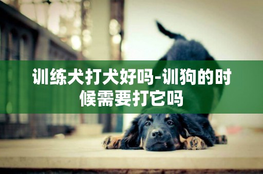 訓練犬打犬好嗎-訓狗的時候需要打它嗎
