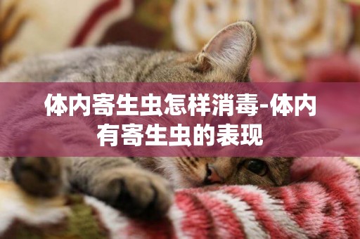 體內寄生蟲怎樣消毒-體內有寄生蟲的表現