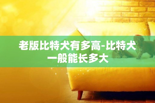 老版比特犬有多高-比特犬一般能長多大