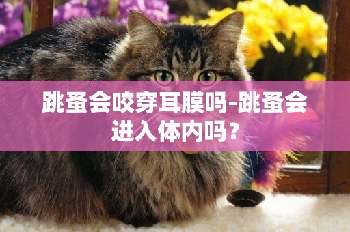 跳蚤會咬穿耳膜嗎-跳蚤會進入體內嗎？