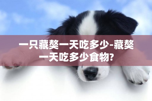 一只藏獒一天吃多少-藏獒一天吃多少食物?