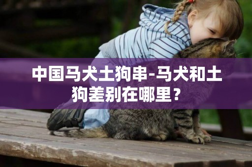 中國馬犬土狗串-馬犬和土狗差別在哪里？