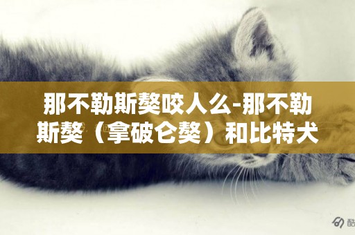 那不勒斯獒咬人么-那不勒斯獒（拿破侖獒）和比特犬那個更厲害？