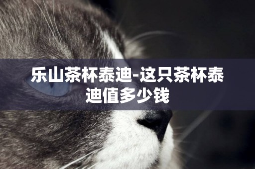樂山茶杯泰迪-這只茶杯泰迪值多少錢