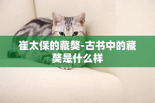 崔太保的藏獒-古書中的藏獒是什么樣
