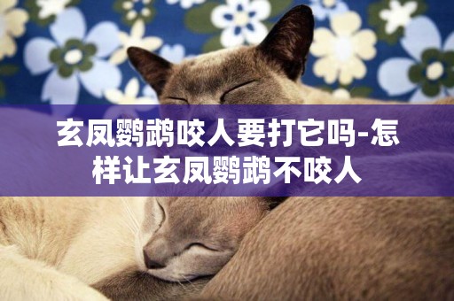 玄鳳鸚鵡咬人要打它嗎-怎樣讓玄鳳鸚鵡不咬人