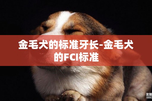 金毛犬的標準牙長-金毛犬的FCI標準