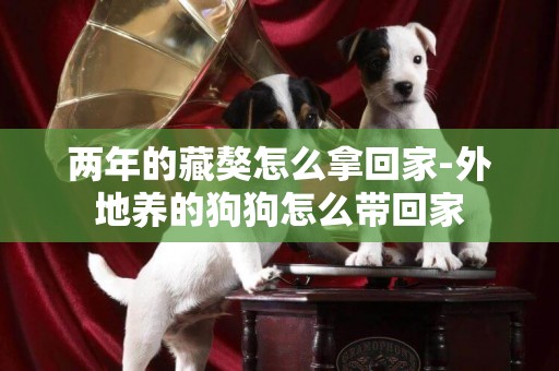 兩年的藏獒怎么拿回家-外地養的狗狗怎么帶回家