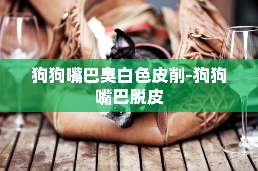 狗狗嘴巴臭白色皮削-狗狗嘴巴脫皮