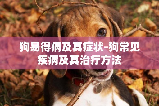 狗易得病及其癥狀-狗常見疾病及其治療方法