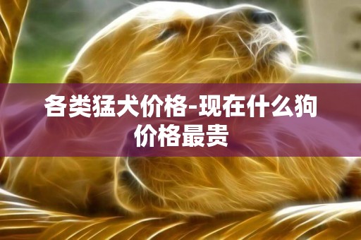 各類猛犬價格-現在什么狗價格最貴