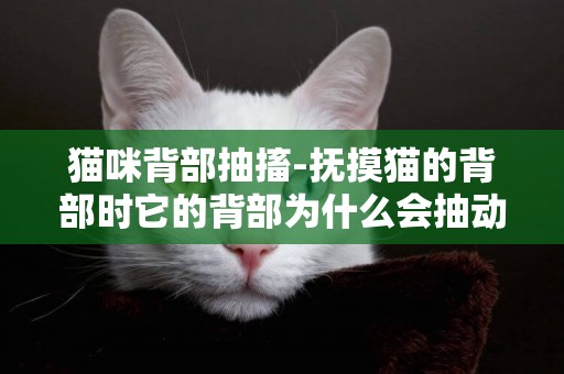 貓咪背部抽搐-撫摸貓的背部時它的背部為什么會抽動一下？