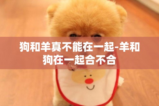 狗和羊真不能在一起-羊和狗在一起合不合
