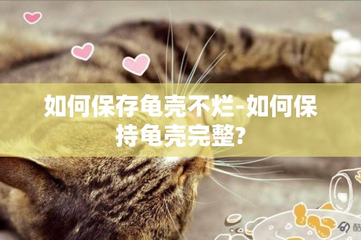 如何保存龜殼不爛-如何保持龜殼完整?