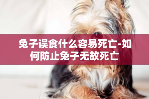 兔子誤食什么容易死亡-如何防止兔子無故死亡