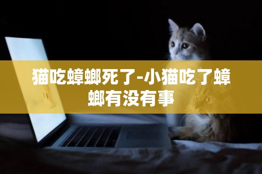 貓吃蟑螂死了-小貓吃了蟑螂有沒有事