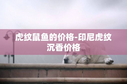 虎紋鼠魚的價格-印尼虎紋沉香價格